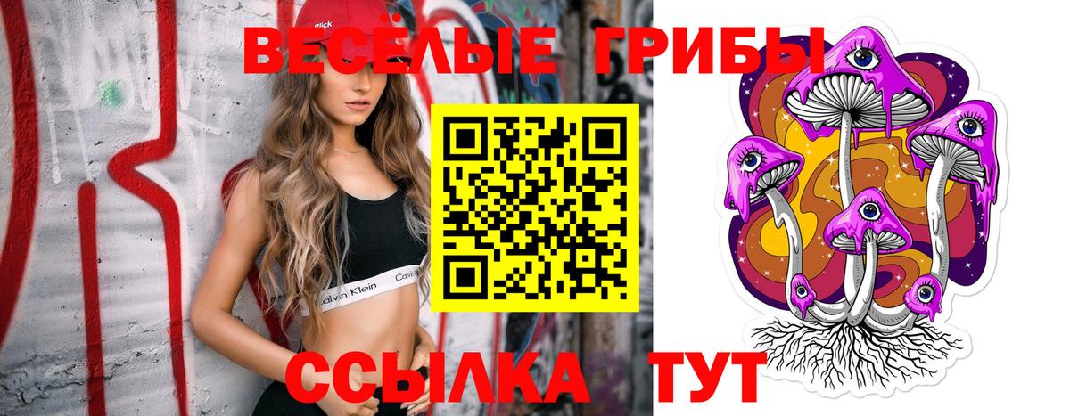 Псилоцибиновые грибы Psilocybe Саянск